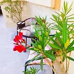 Casa Daniela 3* Două Mai