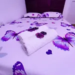 Casa Daniela בית הארחה Două Mai