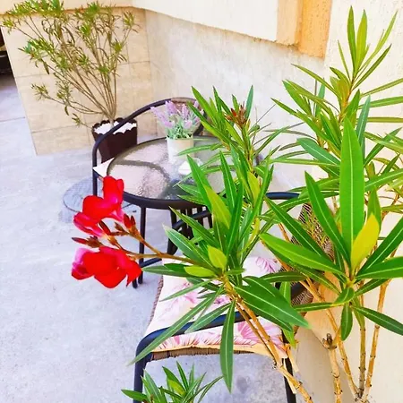 Casa Daniela 4* 多亚马伊