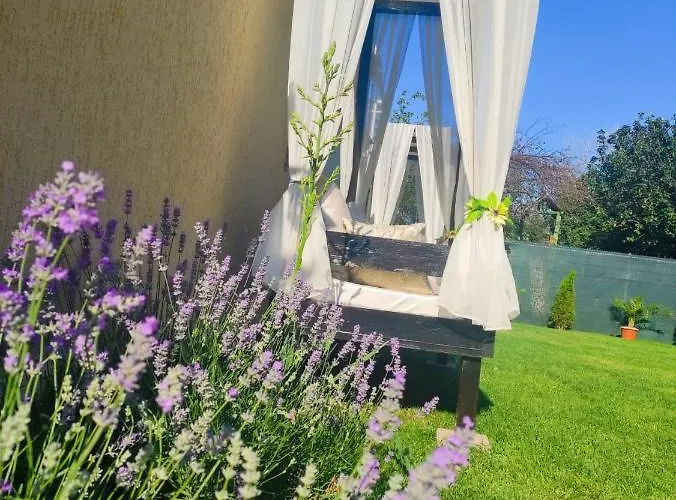 Gæstehus Casa Daniela Două Mai