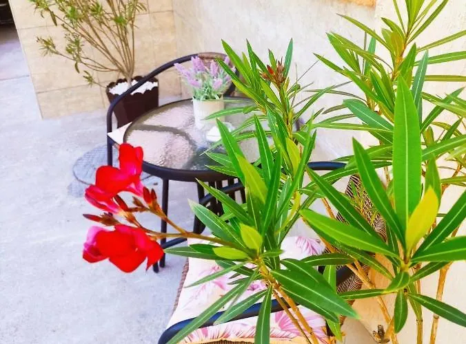 Casa Daniela 4* Două Mai