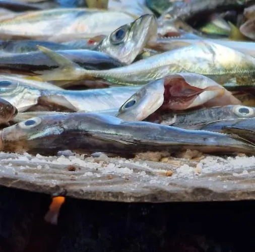 Gæstehus Casa Daniela