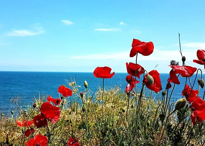 Casa Daniela 4* Două Mai