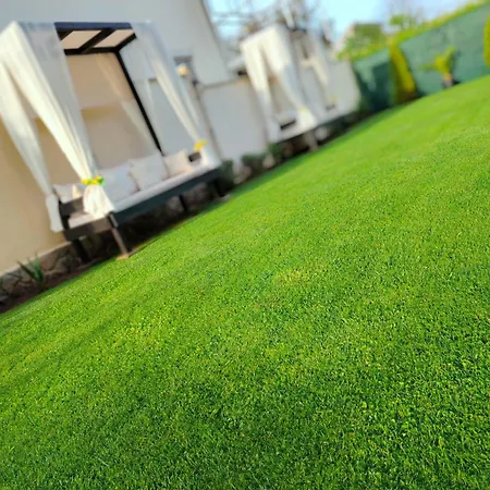 Casa Daniela Affittacamere 4*