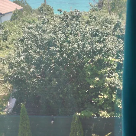 Casa Daniela ドウア・マ