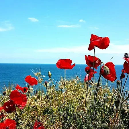 Casa Daniela 4* Două Mai