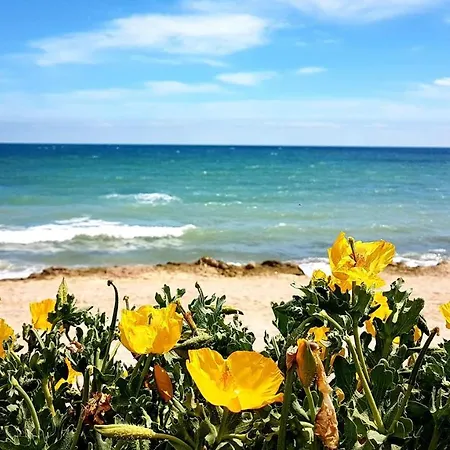 Casa Daniela Affittacamere 4*